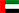 UAE flag